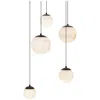 Modern Forms Pisces 5 Light 17in  Selectable Cct In Black In Multi