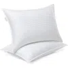 Modern Threads 2-pack Down Alternative Pillows In White