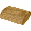 Modern Threads Cotton Waffle Blanket In Gold