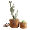 Modernized Pottery Bubbly Planter In Brown