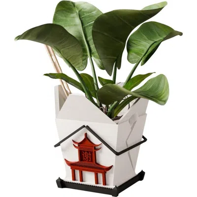 Modernized Pottery Chinese Takeout Planter In White