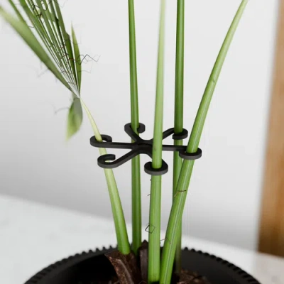 Modernized Pottery Climbing Plant Stem Support Stakes In Black