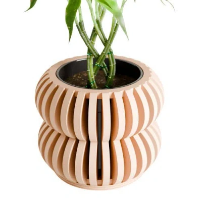 Modernized Pottery Double Bubbles Orchid Planter