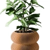Modernized Pottery Double Bubbles Planter