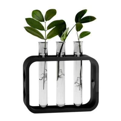 Modernized Pottery Dynamic Propagation Station In Black