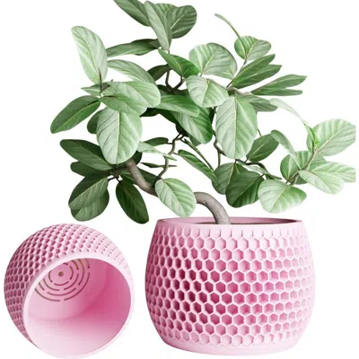 Modernized Pottery Honeycomb Planter
