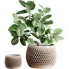 Modernized Pottery Honeycomb Planter