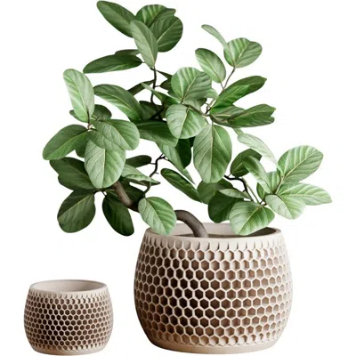 Modernized Pottery Honeycomb Planter