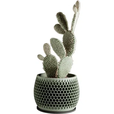 Modernized Pottery Honeycomb Planter