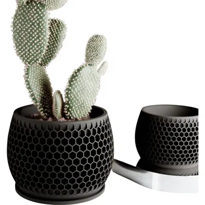 Modernized Pottery Honeycomb Planter