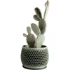 Modernized Pottery Honeycomb Planter