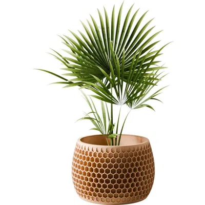 Modernized Pottery Honeycomb Planter In Brown