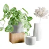 Modernized Pottery Orbis Planter