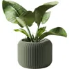 Modernized Pottery Orbis Planter