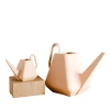 Modernized Pottery Passage Watering Can