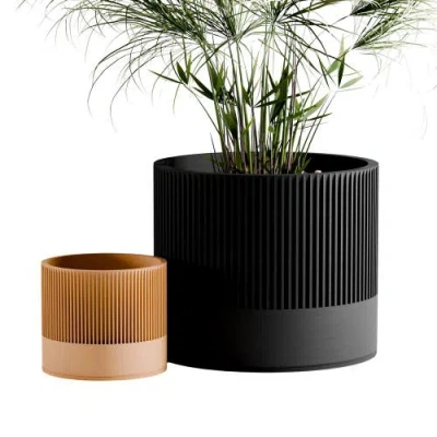 Modernized Pottery Sakura Planter