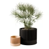 Modernized Pottery Sakura Planter