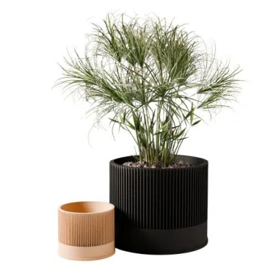 Modernized Pottery Sakura Planter