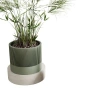 Modernized Pottery Sakura Planter