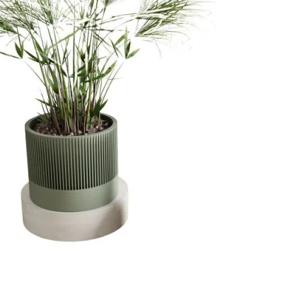 Modernized Pottery Sakura Planter