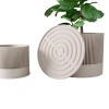 Modernized Pottery Sakura Planter