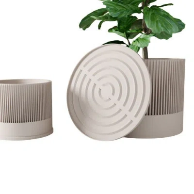 Modernized Pottery Sakura Planter