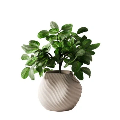 Modernized Pottery Sea Planter