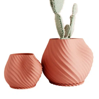 Modernized Pottery Sea Planter