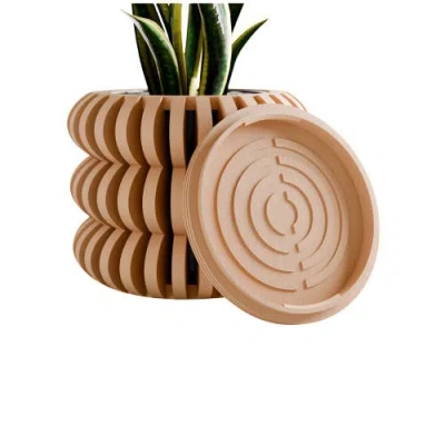 Modernized Pottery Triple Bubble Orchid Planter