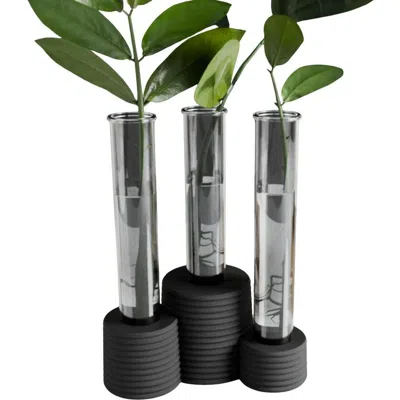 Modernized Pottery Triple Bubble Propagation Station In Black