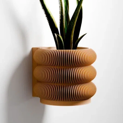 Modernized Pottery Wall Planter