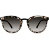 Modo 453 Sunglasses In Milky Tortoise