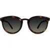 Modo 453 Sunglasses In Tortoise