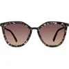 Modo 463 Sunglasses In Grey Tortoise