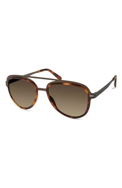 Modo 54mm Aviator Sunglasses In Brown