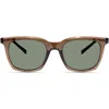 Modo 705 Sunglasses In Brown