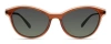 Modo 706 Sunglasses In Warm Brown