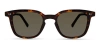 Modo 800 Sunglasses In Tortoise