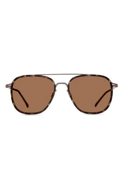Modo Aviator Sunglasses In Brown