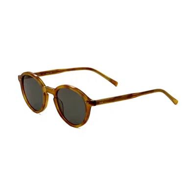 Modo Men's 47mm Brown Sunglasses In Multi