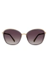 Modo Round Sunglasses