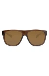 Modo Silverstone 57mm Square Sunglasses In Brown