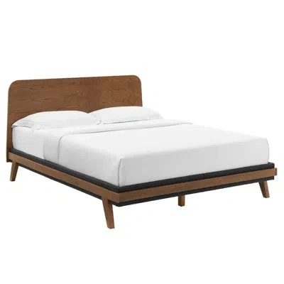 Modway Dylan Queen Platform Bed In Walnut