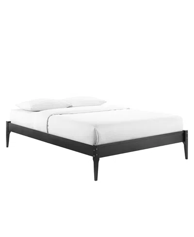Modway June Wood Platform Bed Frame In Black