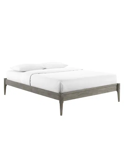 Modway June Wood Platform Bed Frame In Gray