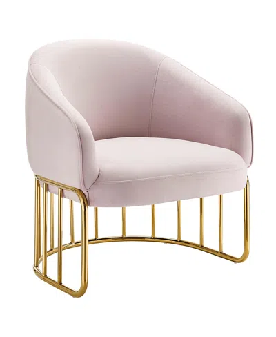 Modway Legacy Performance Velvet Armchair In Pink