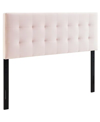 Modway Lily Biscuit Tufted Performance Velvet Headboard In Pink
