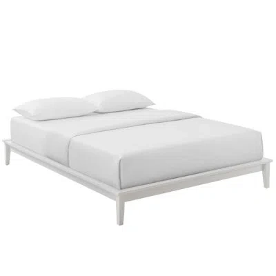 Modway Lodge Wood Platform Bed Frame In White