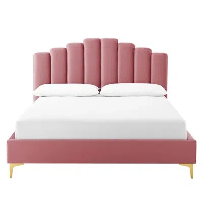 Modway Olivia Queen Performance Velvet Platform Bed In Dusty Rose