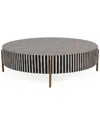 Moe's Home Collection Chameau Medium Coffee Table In Black